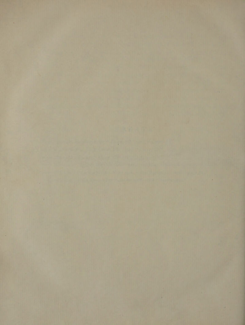 ar cole . ar we igh gy nee shy) tee eigha the t¢ ; Saee eke ; pat pi, pS Pate ie* woe = ae 4 ; be if - ‘ My Lr. ee too y