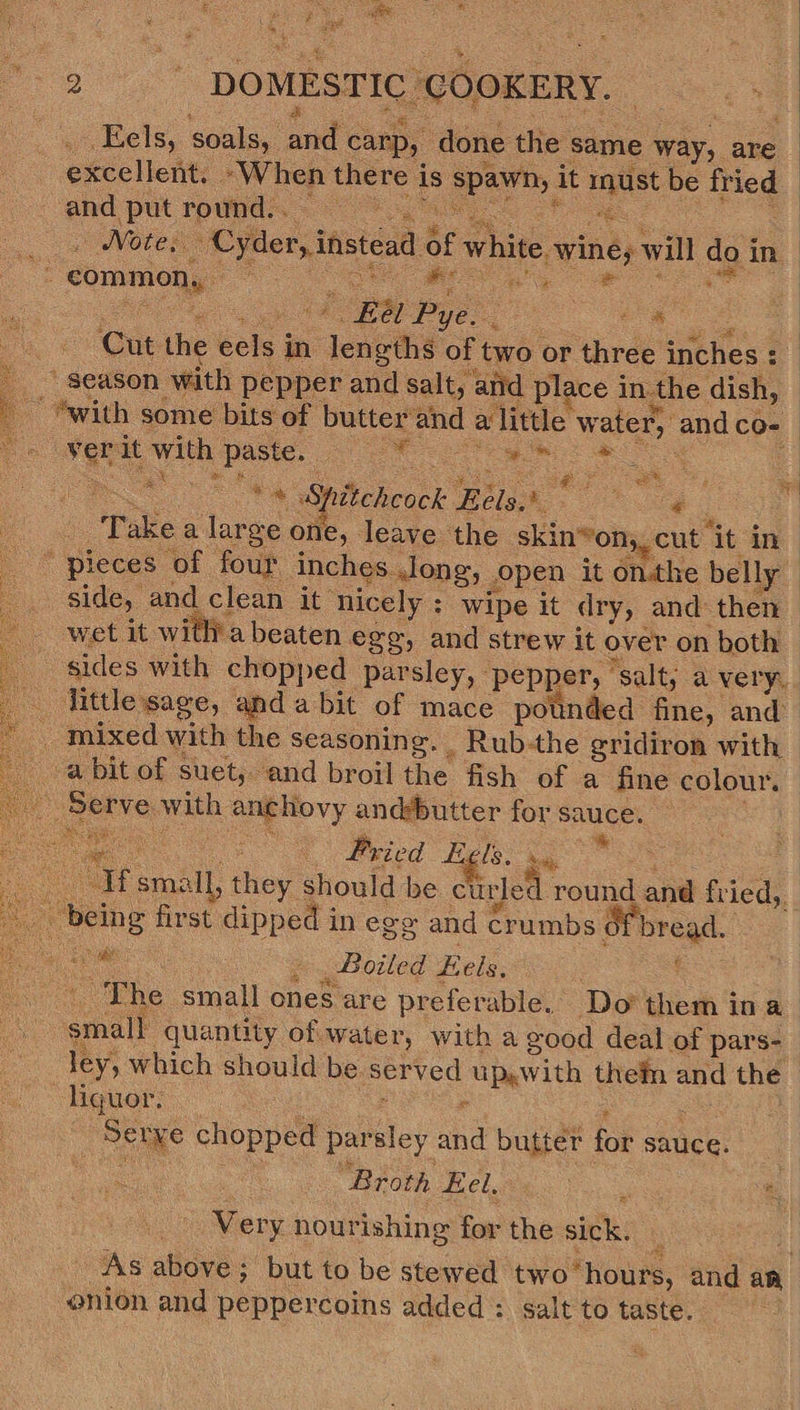 Gece ante Sait : gears Bre aed : LS 2 : DOMESTIC COOKERY. — : a bels, soals, and carp, done the same way, are excellent. ~When there is spawn, it must be fried ere ea _. Note, Cyder, instead of white. wine, will do in - COMMON yi ee we de ee Ne ae AS Bal Pye. oe  Cut the eels in lengths of two or three inches : | “season with pepper and salt, and place in the dish, | “with some bits of butter‘and alittle water, andco- pe (ark wi-paste, 8 ee ee : a es  ee . * Spitchcock Eéls.* : eee : ‘Take a large one, leave the skin*on, cut it in pieces of four inches long, open it onthe belly — side, and clean it nicely: wipe it dry, and then wet it witlia beaten egg, and strew it over on both sides with chopped parsley, pepper, ‘salt, a very. little sage, and abit of mace pounded fine, and _ mixed with the seasoning. _Rub-the gridiron with -a bit of suet, and broil the fish of a fine colour. _ Serve with anchovy andbutter for sauce. een ate oe Priced Eels. igs. me . . ; __ Wsmall, they should be curled round and fried, being first dipped in egg and crumbs of bread. BM ee Bole Hele, ~The small one: a    : fh all S are preferable. Do them ina _ small quantity of water, with a good deal of pars- Jey, which should be served up,with thei and the liguor. a8 : a ; ee Serve chopped parsley and butter for sauce. ee RAG Bea Very nourishing for the sick. 1 - As above; but to be stewed two hours, and an onion and peppercoins added : salt to taste.