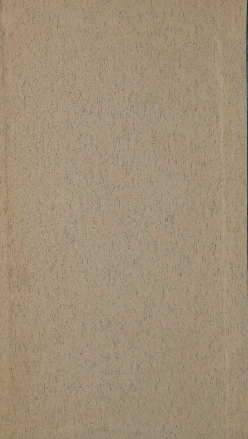 Stee chee oe ee = Rest tS ’