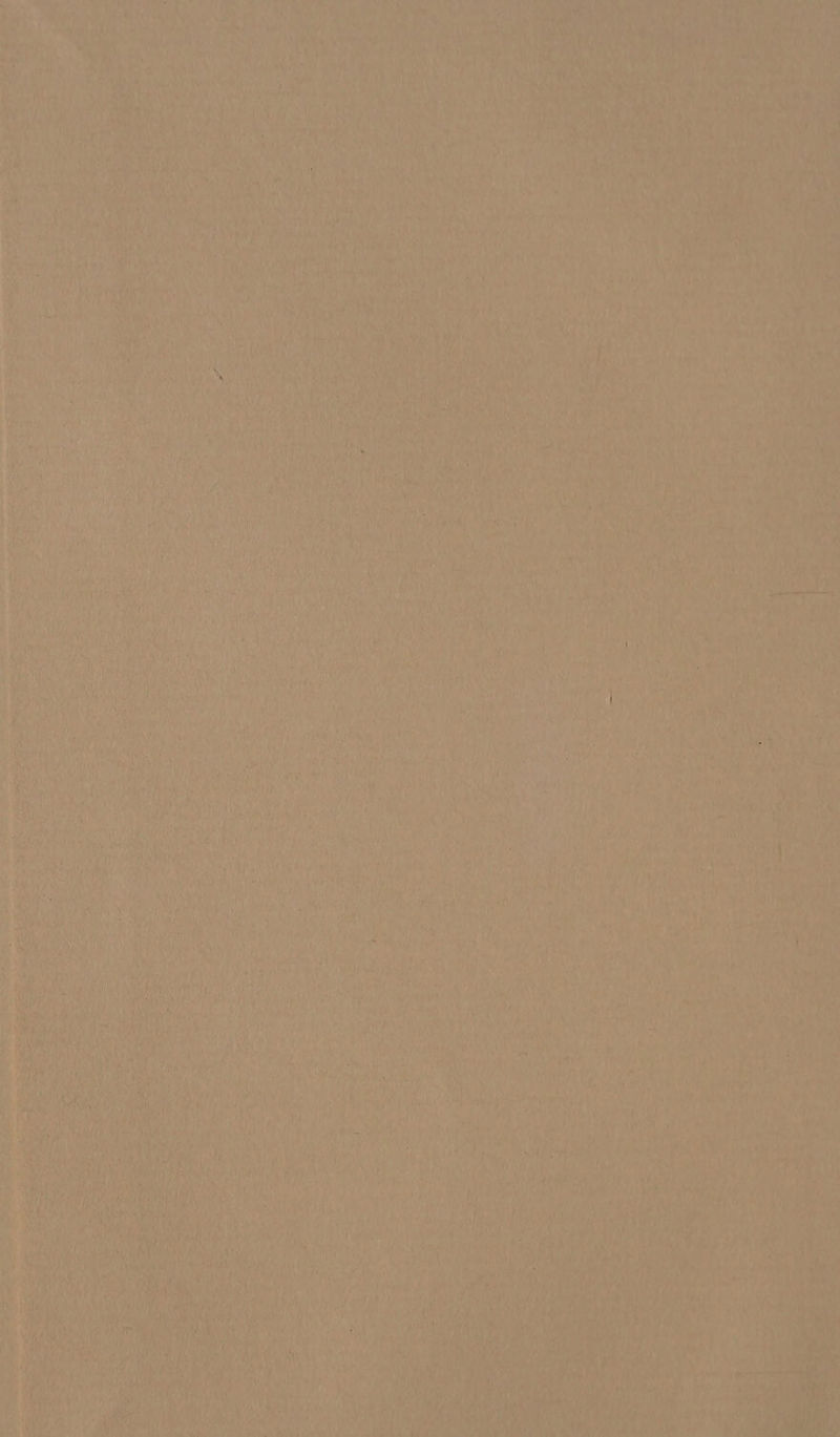 Ae ue at 4 , be Soe Pe ay Sais eee a