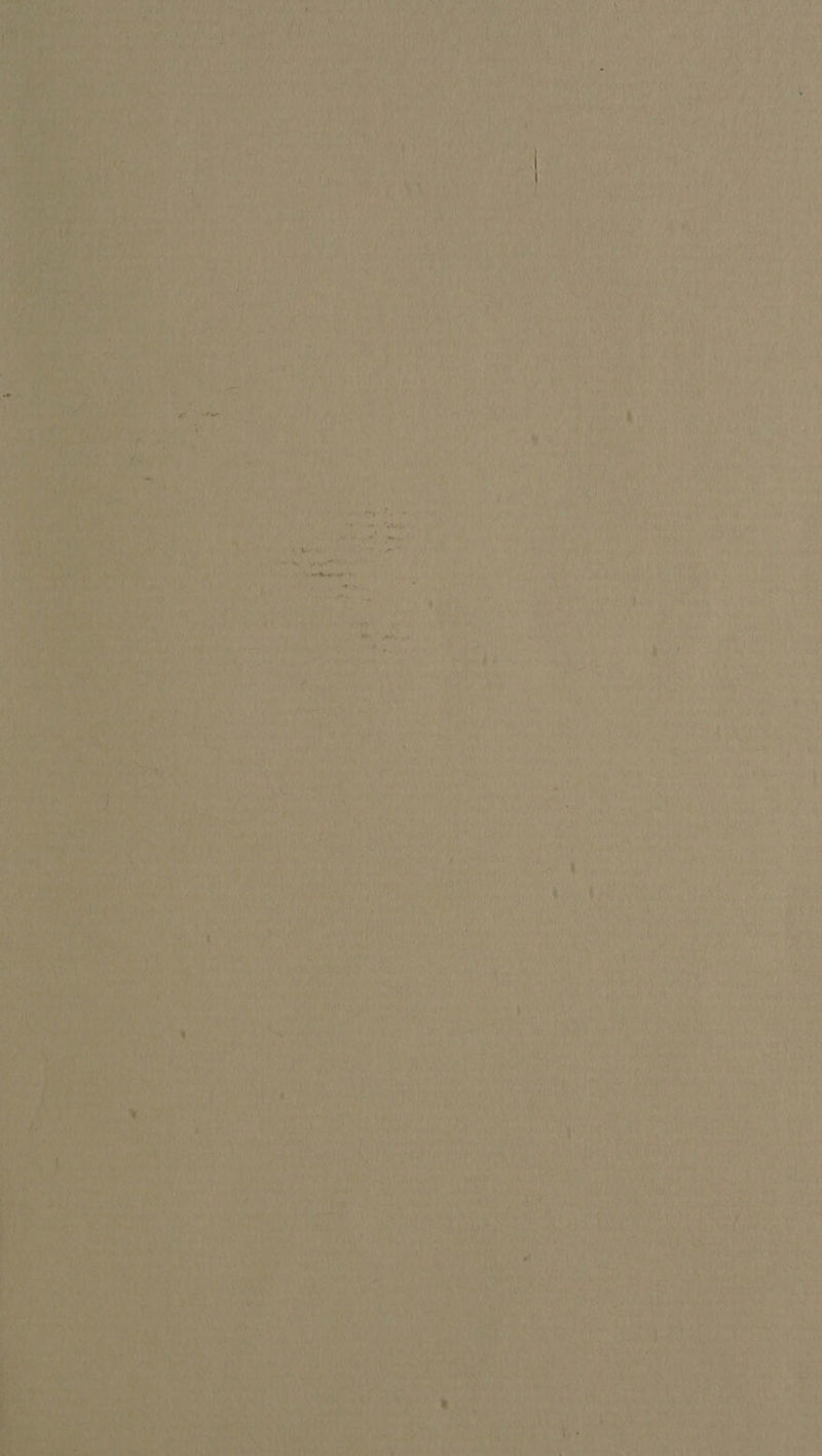 ae aN aN a sit 7 ae wee AY ein Ag VR Cars Mb y Wi , Py Be) Ri crass ish ? 