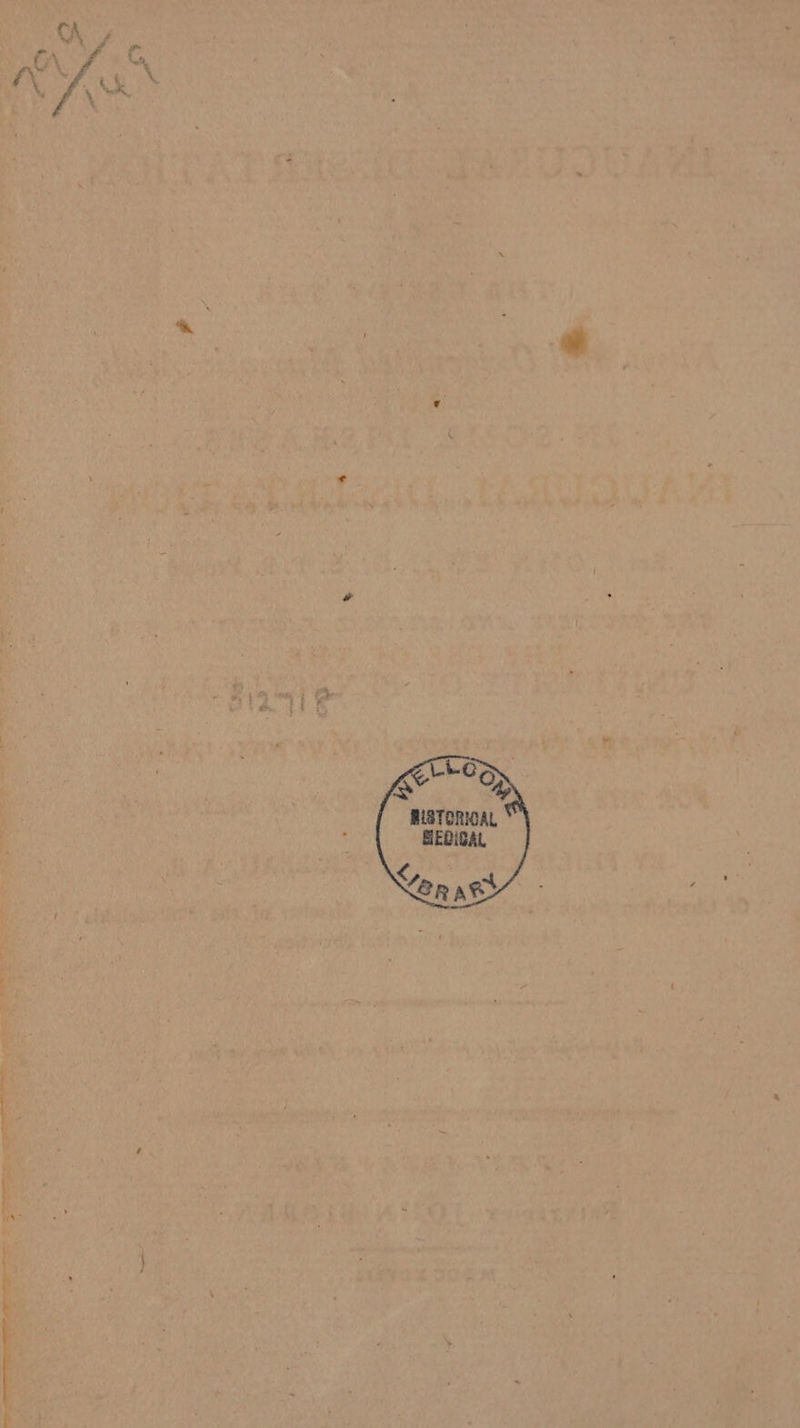      >, We ade é x yr et dani Oe oe A + era eee is ; va = ; f =” a  « t: ia ae: . Bas  4  “i SAOEN tv      Me o: Aeh gi or 9 ee  Vt ; he aS pee O35 phn 7 ;% chat , ais i 2 Ares oe ; “fat a eps ke har Basta ag: He har Ste ee    @4y % Tae a k . ‘ 7 4 ~~ # * ‘ 3! ees” ae » ty ty) ues es ah 2 “4 ? ; , * 2. + 2G aL oa “ae de rr Ae Bute lel : ‘ a | aR : : eee ¢-e} 4 s is 4 boa oy , rag ate ea. 