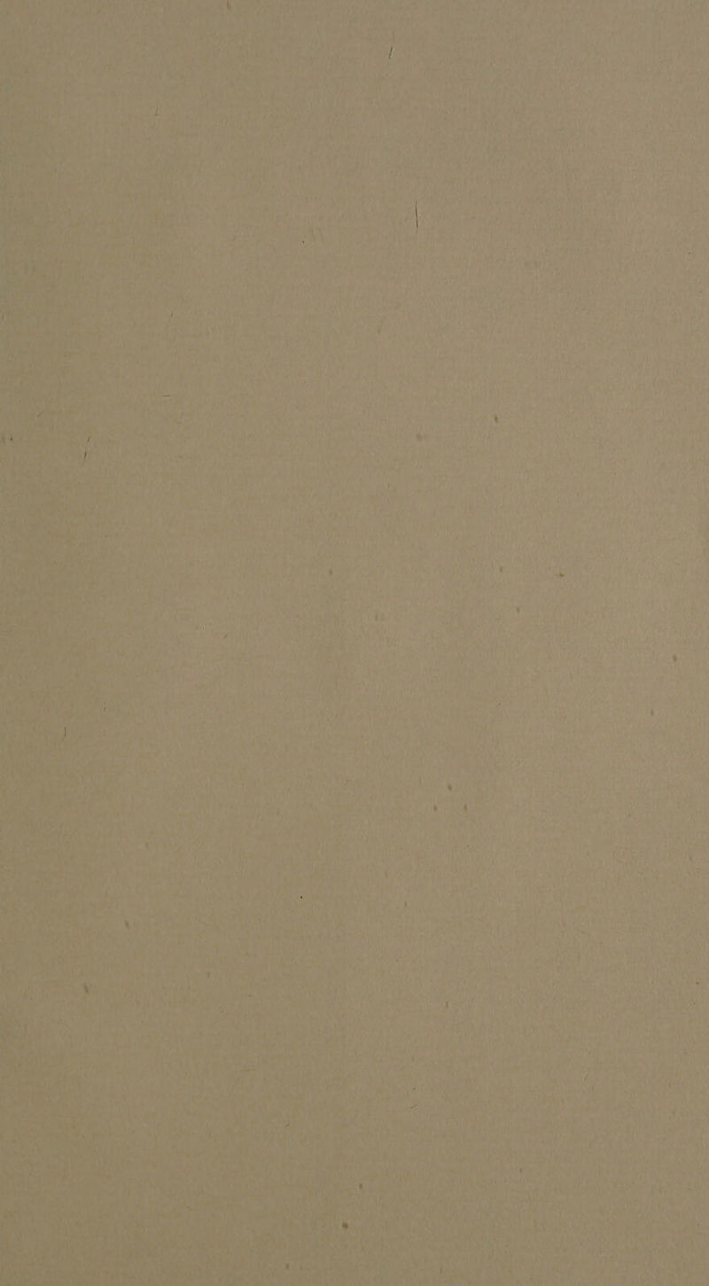 Maa Ye Ne ih Ly . Td F, my i my tes ‘ ~ ‘ht CA” Wh ie rn Fae i , : 5 UGA eae me Bre yay sey RMT We Ade! BUPA Ney et ‘ wl ; ri ‘eh Rati 1) eT a 1 eS SM oy ; ry sagt EP eae My, ; Neg Te? a Nivea bales | Sh) Pe ida ad ales, Ot 
