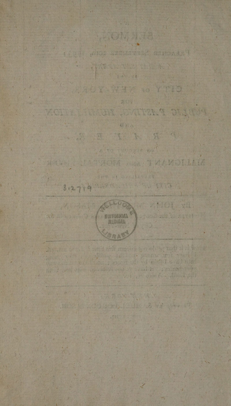 tie eke ah oe Seal cat i pave tC. a Fee ei ‘od . . ‘ =o tis I oe TO tony et ae ie HR