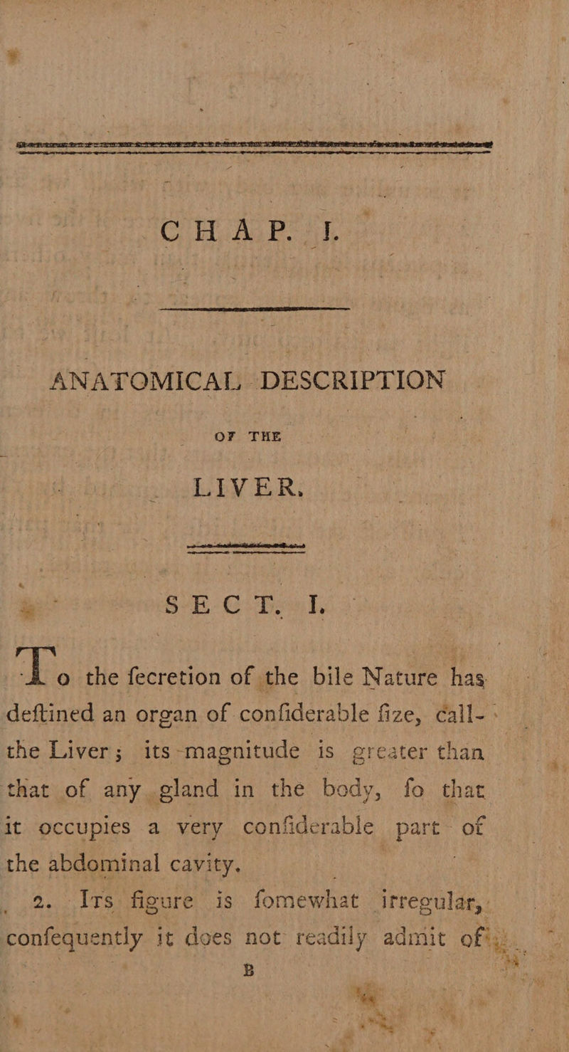  ahr the fecretion of the bile Nature has deftined an organ of confiderable fize, Call- the Liver; its-magnitude is greater than that of any gland in the body, fo that it occupies a very confiderable part of the abdominal cavity. ee | 2. Its figure is fomewhat irregular,. confequently it does not readily admit oft) i: | 5 | A 4 ¥ , he ; on “f ‘ . » they hs ete