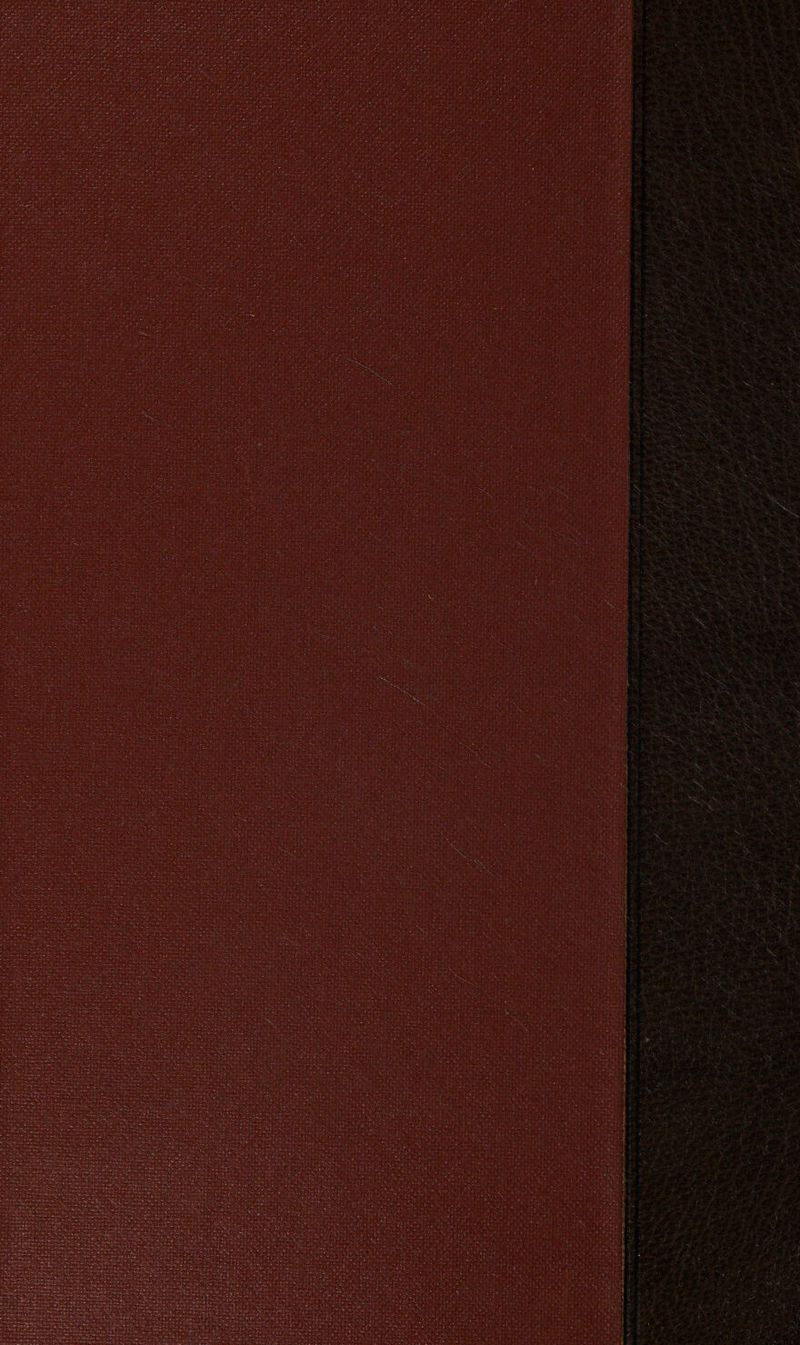 on Neath 8 ren! ance ta ta (eee ; a seat palete Pees yeti een 5 Hist yeeree ced Td Riri ie at ate SG ga hi op ee pS eh ahe teed ro atanr tangs AateA ep reatal tee ti ier Sear a pig estat AAS eaten ‘ ees aS bet a ie peo 4 2S os > f iC ze Dealt d bp tees Mee ge EAs - 1 Pye anges? aioe tere Seats f Zt Fn RAEN qa ene) eat a you, ee sie phpene hs at PCR Pepi Bassi et. Cree : 