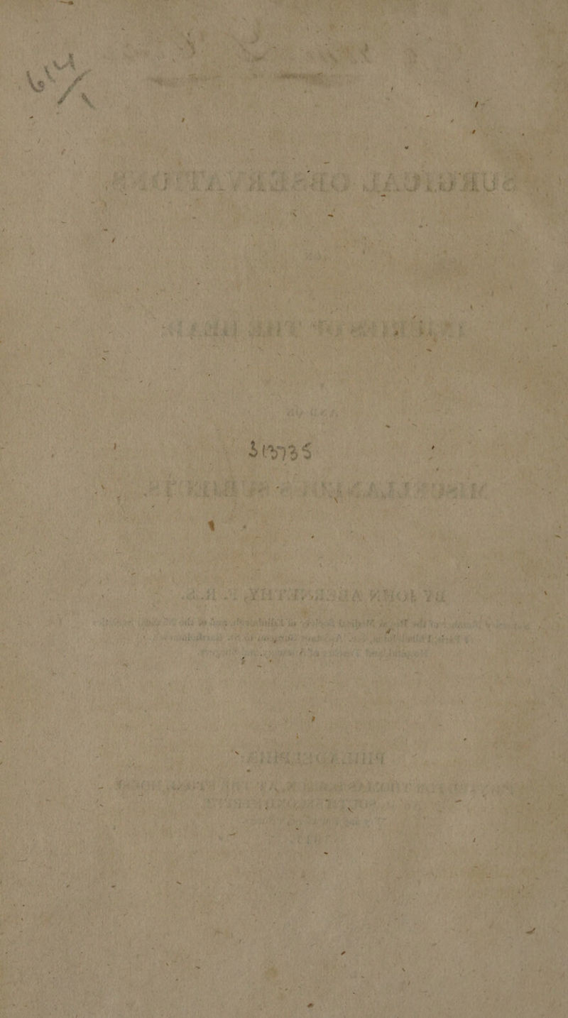 me Nip R Ae,’ eo i! eee: lal i ak i, Ae tiaaly ¢  fA ase nding ey wee 
