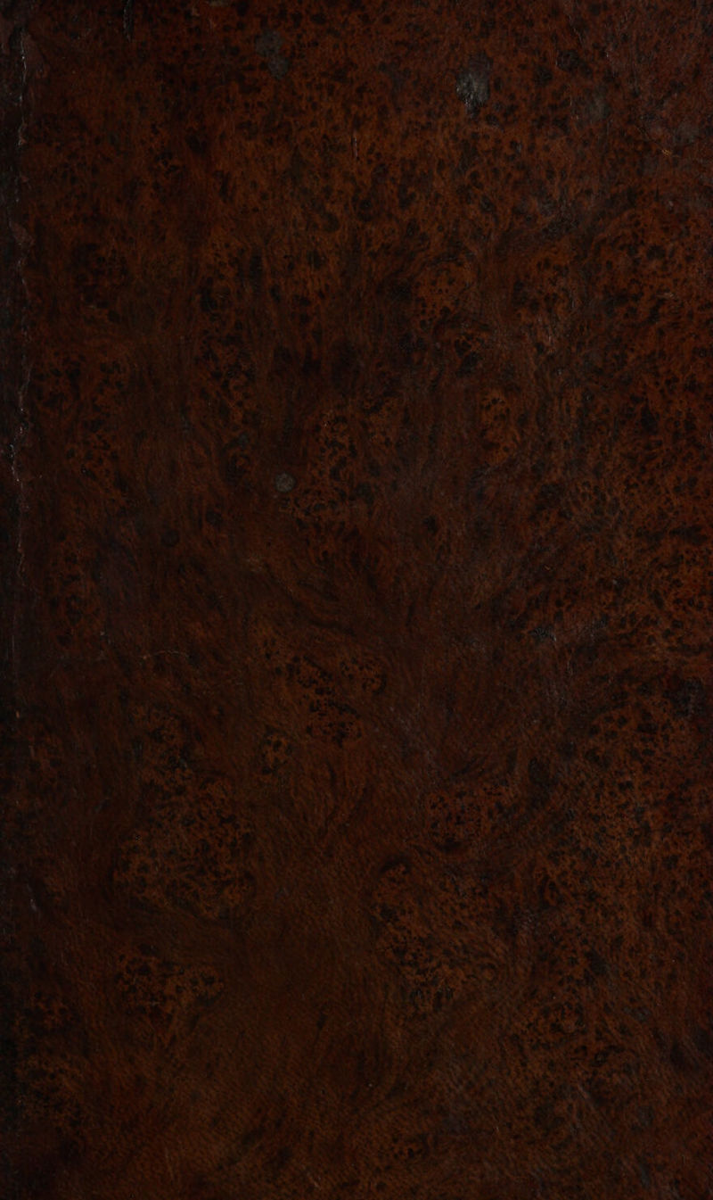 bry »® #&amp; 4 captors, as _ 