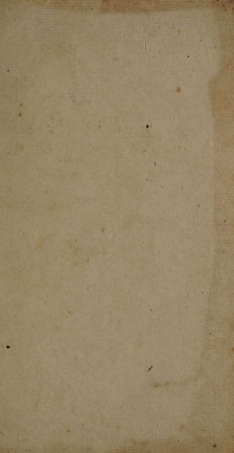 ’ § 6 ¥ py) ef ‘ Habs, br Np mete: Lv 