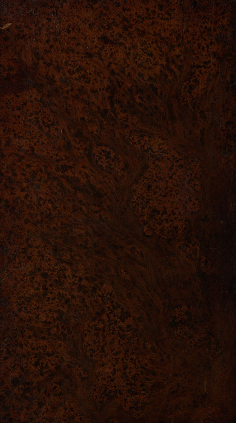 1. a Sas - ¥ Lin ape ws! Pap oe x hy ie doe , 