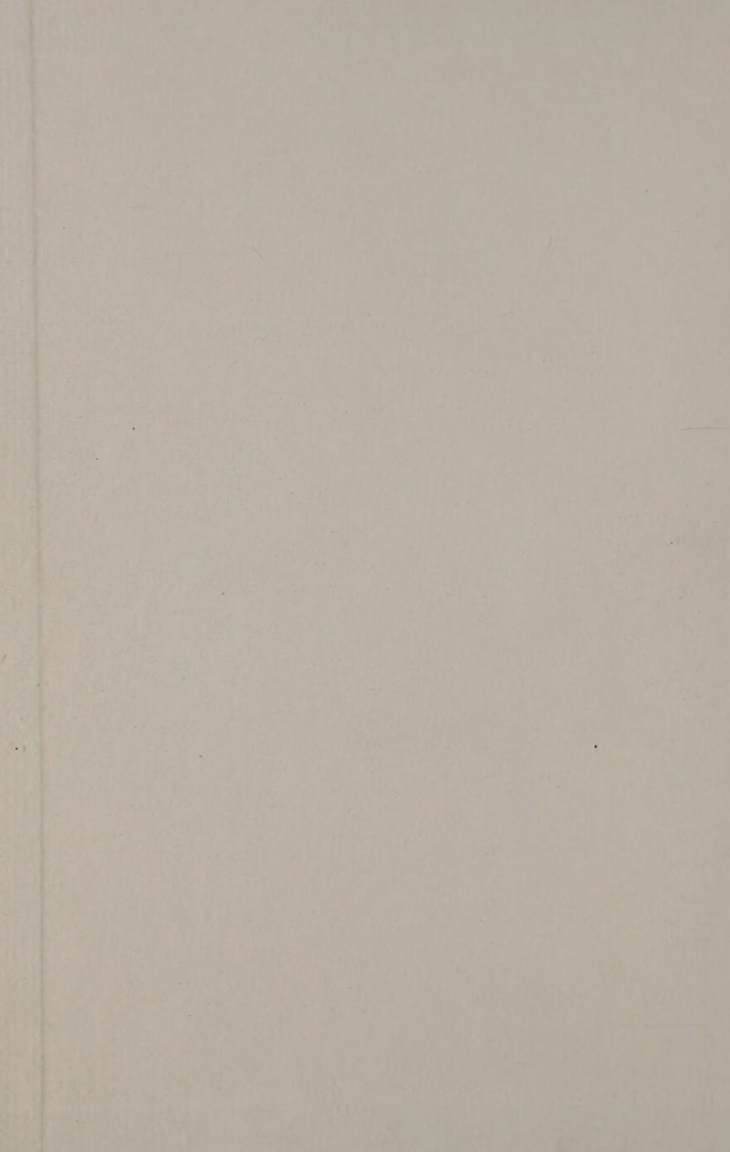   PIAS SO eh Ve ; a : ey : ’ bee me na Ng \ - ~ ve 7 + % y i] . , a, i 3 nt ei . 4 = a y ee - i. he 4 el . + 4 .# i i Li e r nf ; ‘ ‘ el v i ‘ ‘ ) a Ta * a3 4 ee en = a’ fry e ? y ia ea x ‘ : + j ; fi i ae r ; ah er ; on i Jf + DL . t - J + ens a) he iS 2 . ~ pure : 2 ; , . Seg 4 a wee i rn ~~ } > 44 a 3 ' i; c es . be r : ‘ An syd i b iF , ay? ‘a , A ae eS u Pr ay ye 4) ie ; ’ r “ { E Fy os ~ul U b ’ ae 7 A + 4 , ee on mw ; i me ; meee, Me A eS, AP eer A “ Rae Mie Reel Ait! Sey 4S rh , ved fe i an ee on d Ee) 4 ' ¥ Pho in tA oe A al } : ie) aa” ie : 7 5 Es ‘> PS a ee iy le ey see ) Tied a a Sa : S sh es Se ve ae mee Baha ete    a a