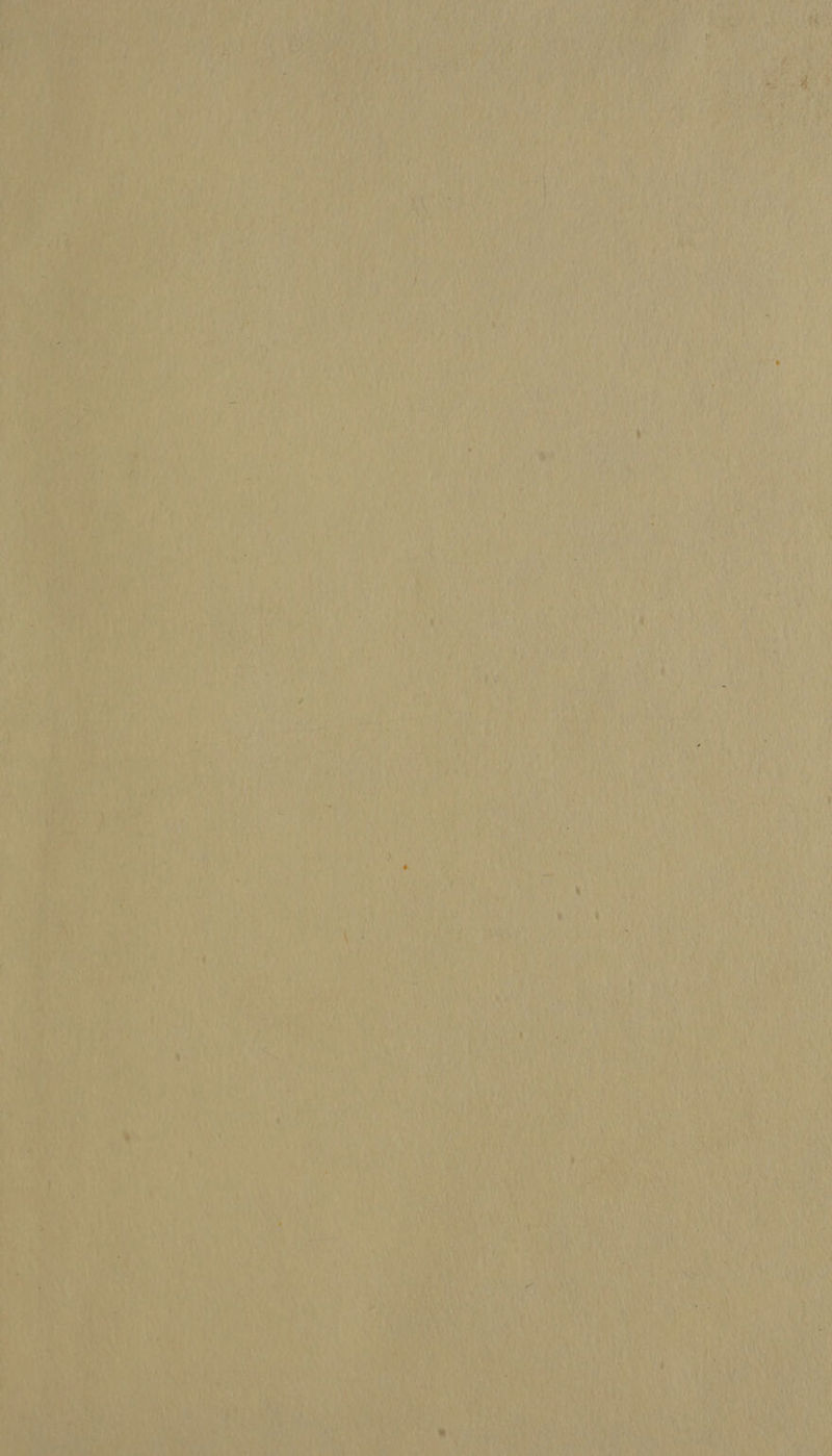 rad ‘ f Ln id 5 it - APRN RE Lah PON . ( Aa yi: ry Ear 3 