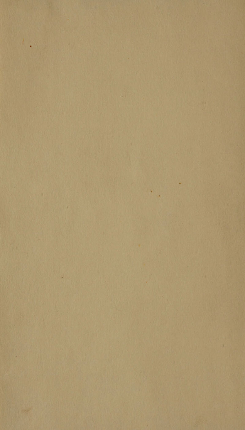 f es i rN ‘i x ies 