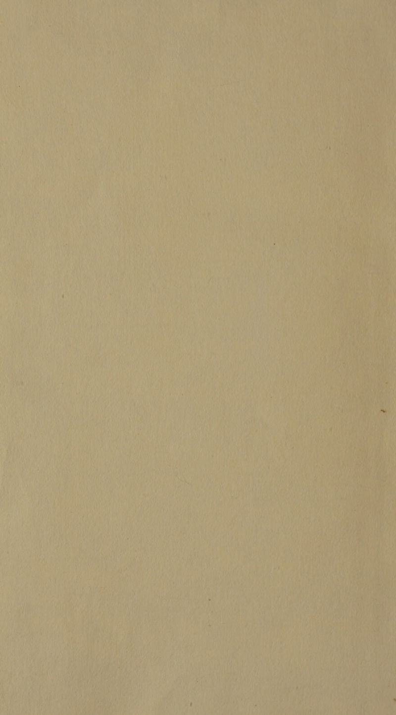 < Y i i 4 ey » teiaeety bya’) | fr ri  ¥