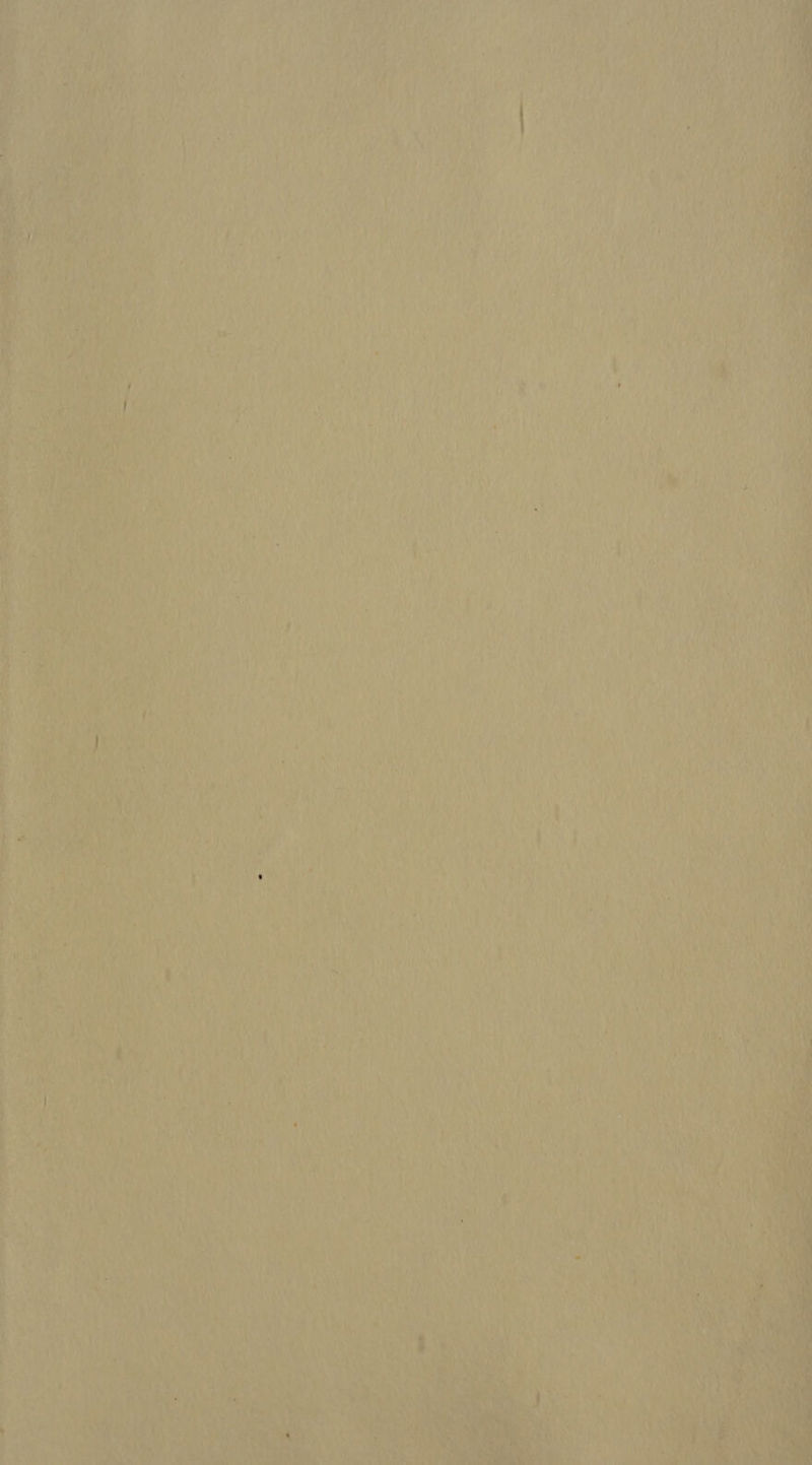 nt 7! iy fr ee ~. ay ' ‘ in 20 wae a te 