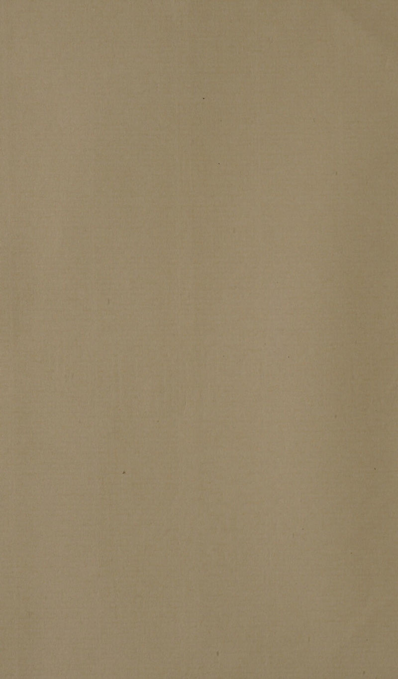 Pabst ahs onto ay vag \ eS ier ed Sell SH ¥ geatet>: F ) Mila Kiger aa a re eth Rico ae Ye ee eae? 