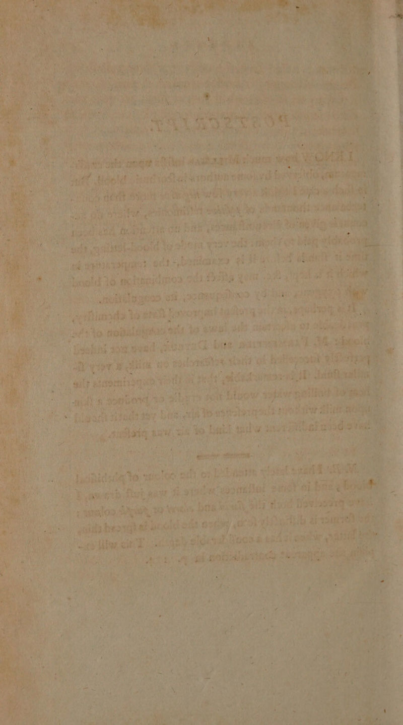 nit spileane a] ‘st’ ibis Pe nei eh. a yout ey ms x Pik ra ate hin ifs £3 a hs sot os al 