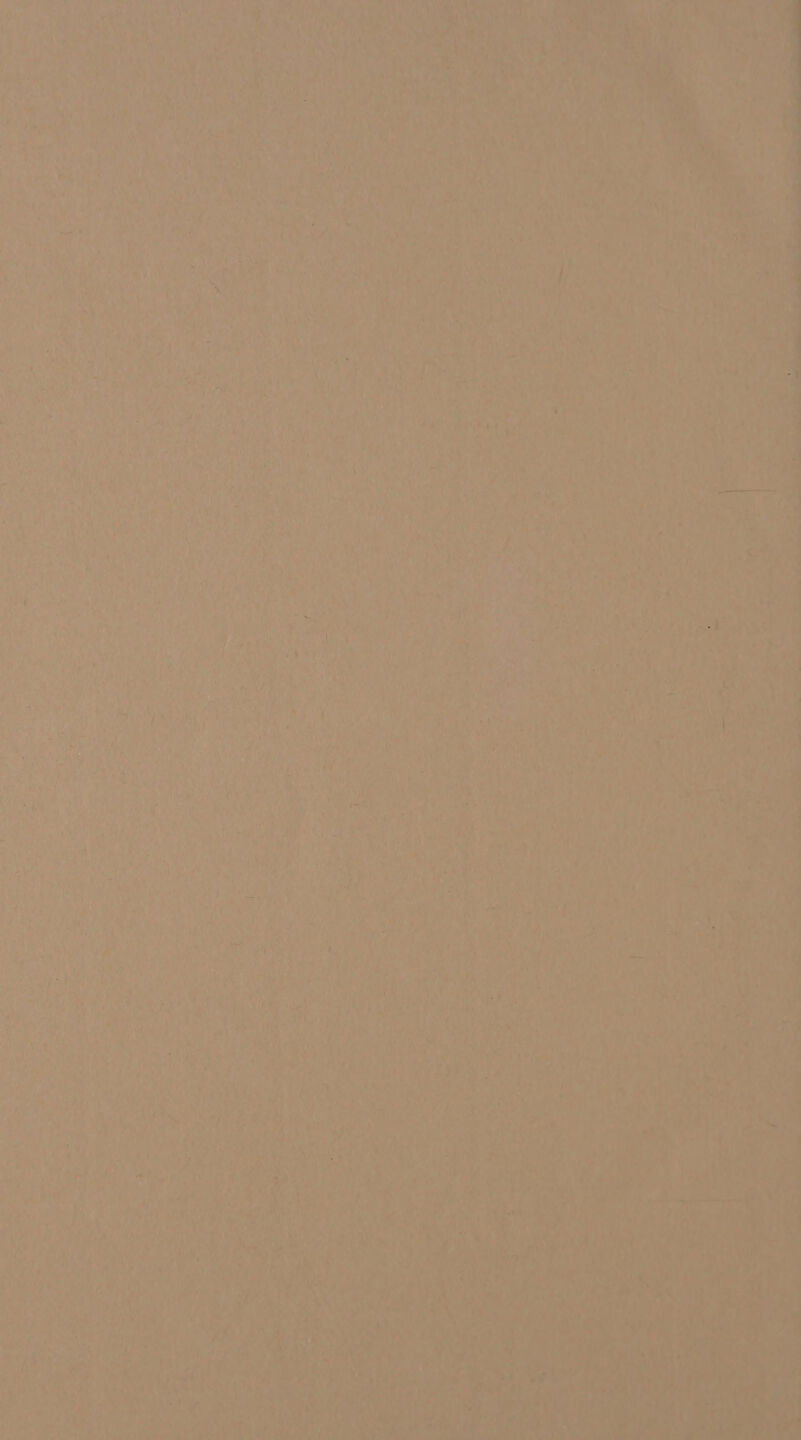 meet He, el ee ay” ¥ a ts y Pr