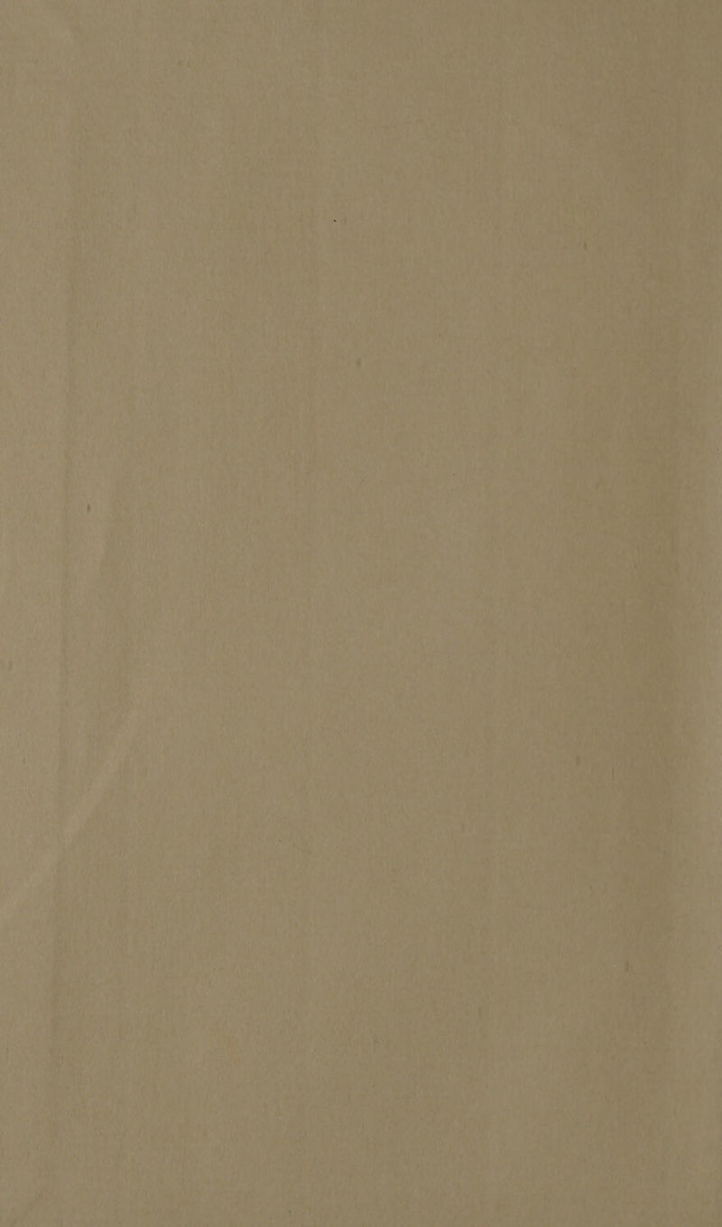 a fe th se ten SSE “=, ts Mie PLAT ant \ ro en, he a 