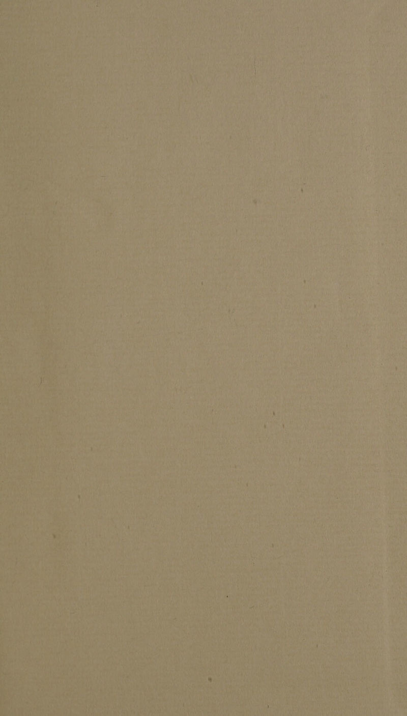 i Wert Ry 4 NY ae) ¢ ef athe oe ah lawrt yy BA Sor ye ea UNEP TP Akt Ww , i Chine neat Hi vt i) At esha Pees ein aah. ai MANA edyonied Fe chet ee ae ee Pani Whsies Liv Keith ae ine MG Sap MeN pe ey 4 1M Gertua) r raha : ay se eT Sy as Niece hah Liat (ania hs Pee) mt * 1 , rn! Ape: ONS Nis i i . e SI es Bs tite inf i hast 1 i 