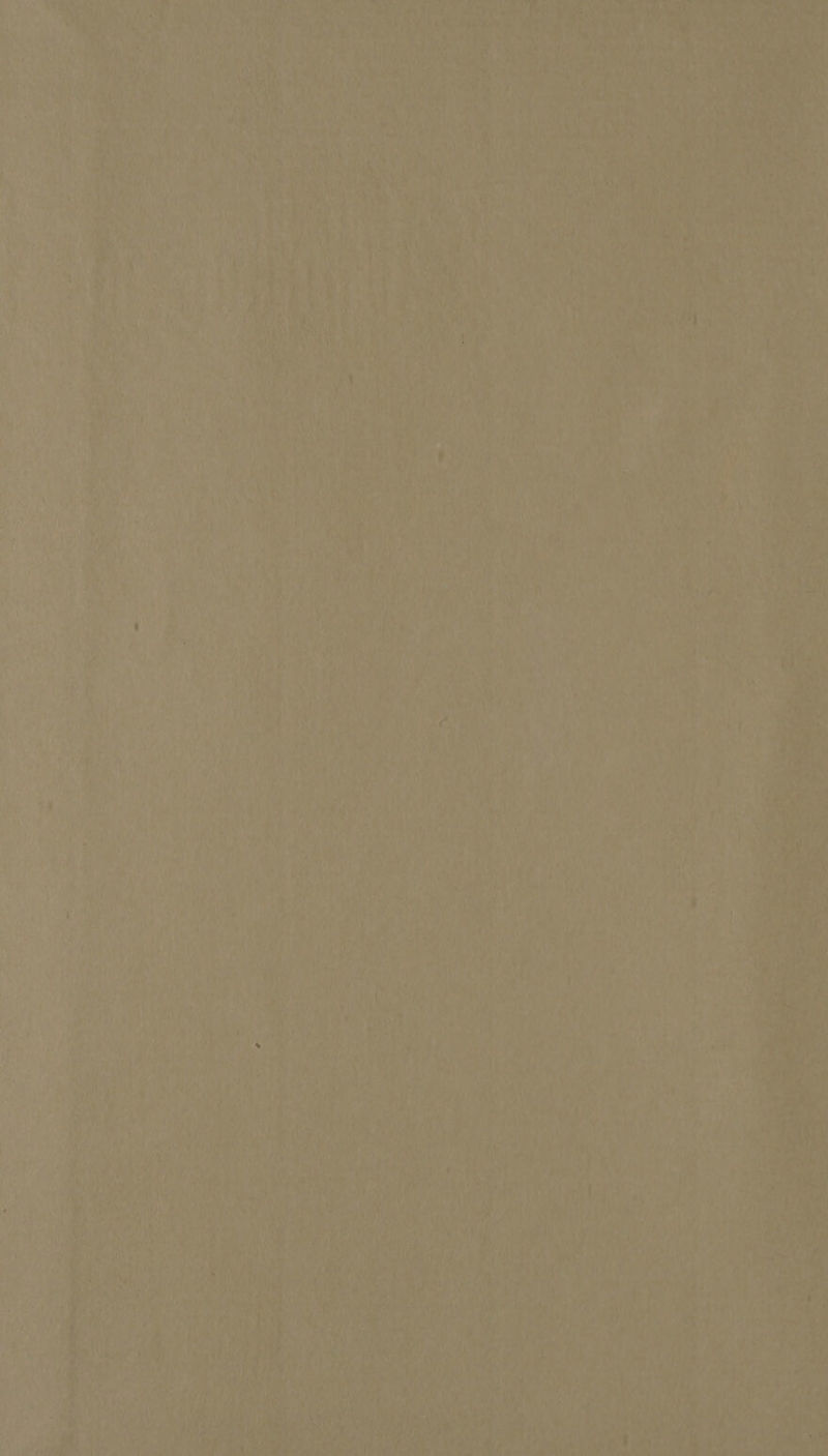 te ay, 06 AY ee OE oot | * af on PY alee tA  m