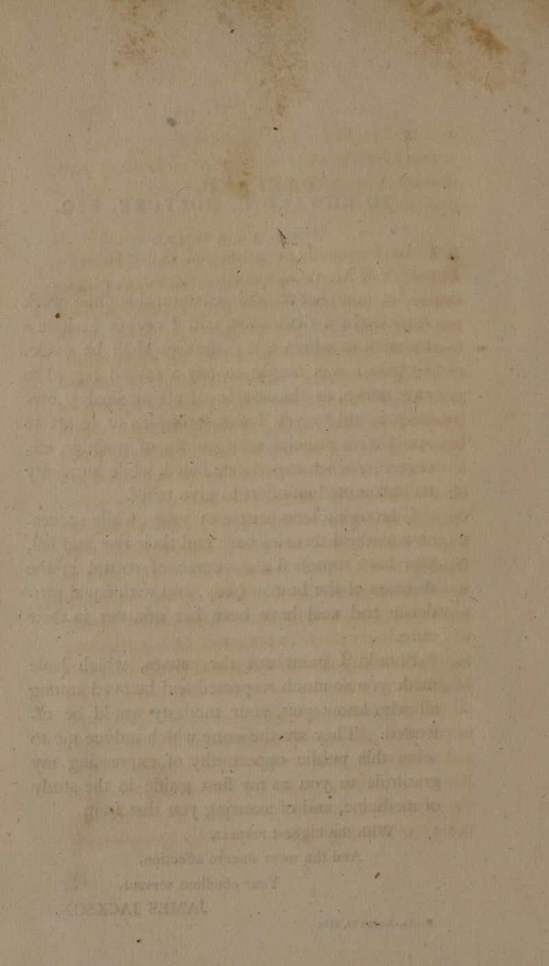    a cae haha : :                        ; ores : eek be ; P tind a? i iu eta ina i hs er * Ngee. Bok a be Vs nae sit wae a ban th Phe REPT oe bid hee eee ite Tt aay: ay : ie Be ee He “abe ;  ae ws ore donee’: j 1 ea EA    Tt aoe pit tee Pe a iy, ae n Noemi rt i. Fes 7 a 7 , raat errs atone Ob 3 Aaa aoe ‘ “er bas ay A Ree fh ai Bei Pay i RP ise he ead ' i) a oi, tee tee a “it OD: AS aes