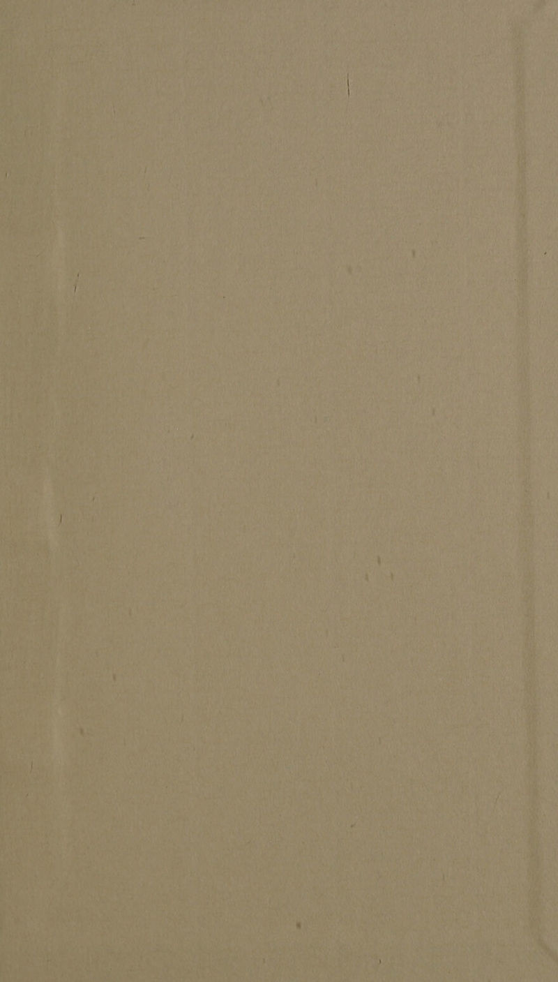 NTE 4 ye ehiey SR 7 ¢ : ae eh sieht wee Ae SW das ‘ f ( * 