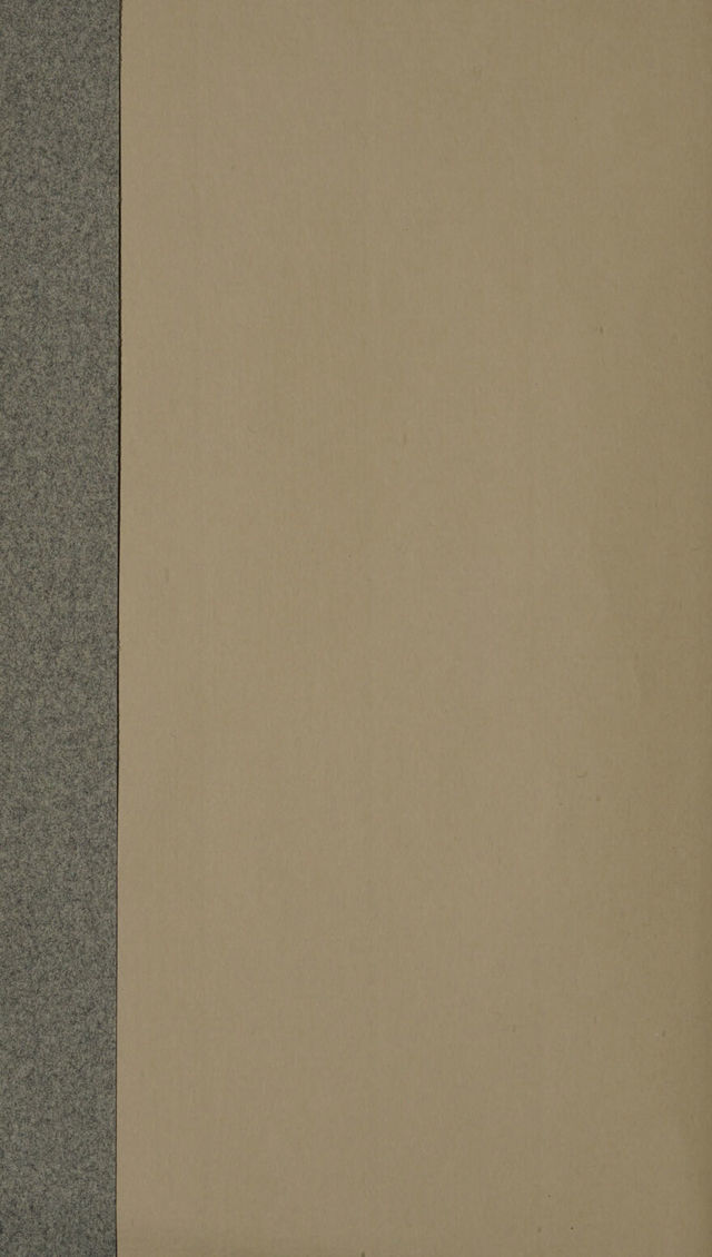 digitised image 2