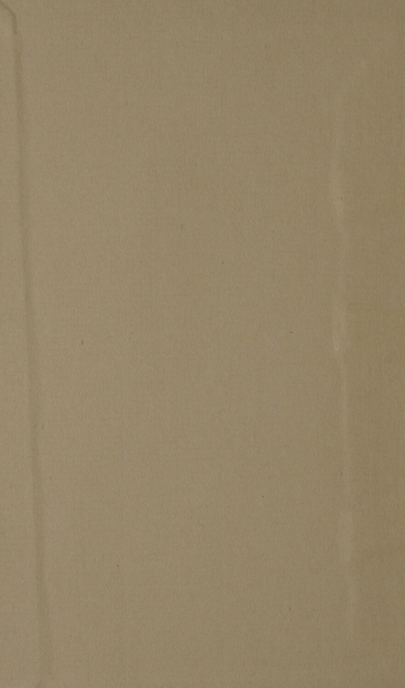 ihe aeTh: any i vt Ligh fied sabe