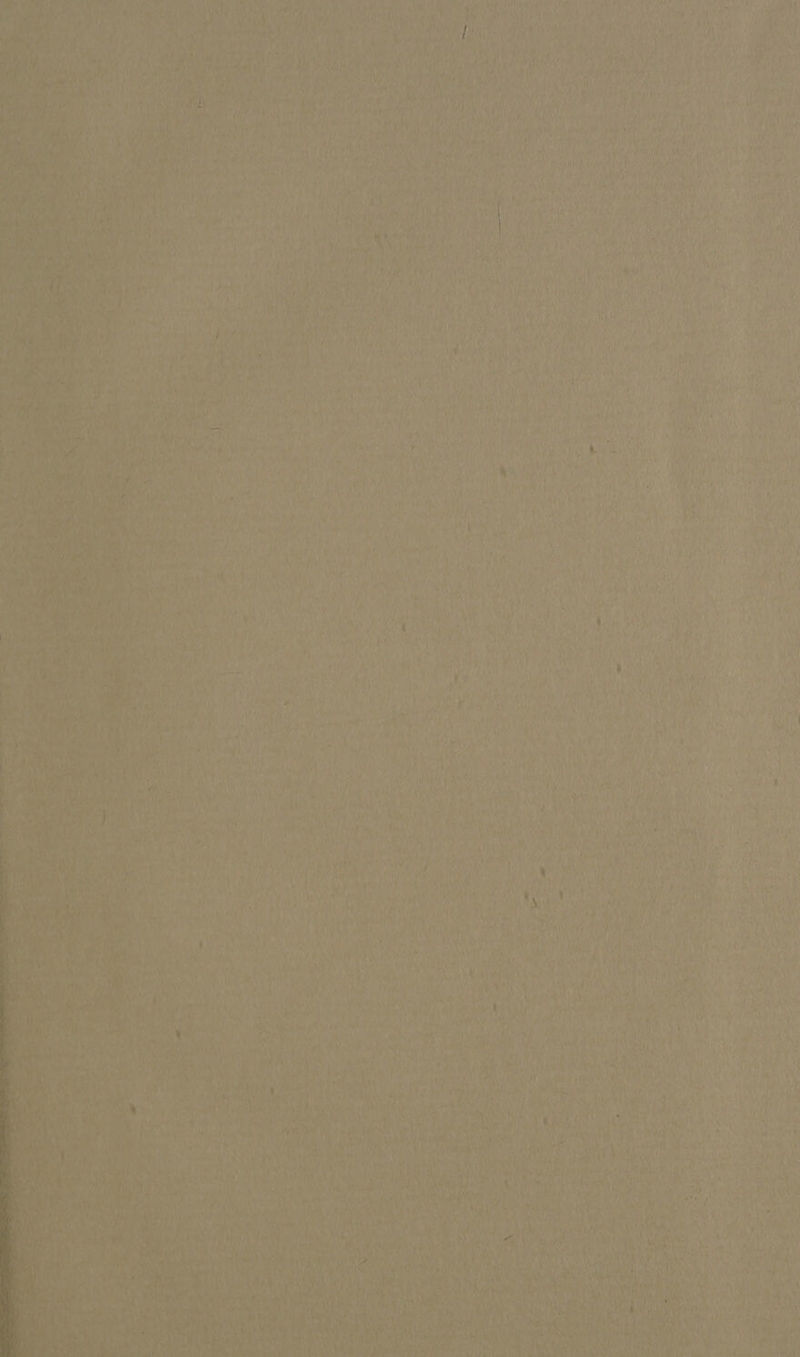 ( aie a ayh : i 1A) Oh Gale puta a i ae MN