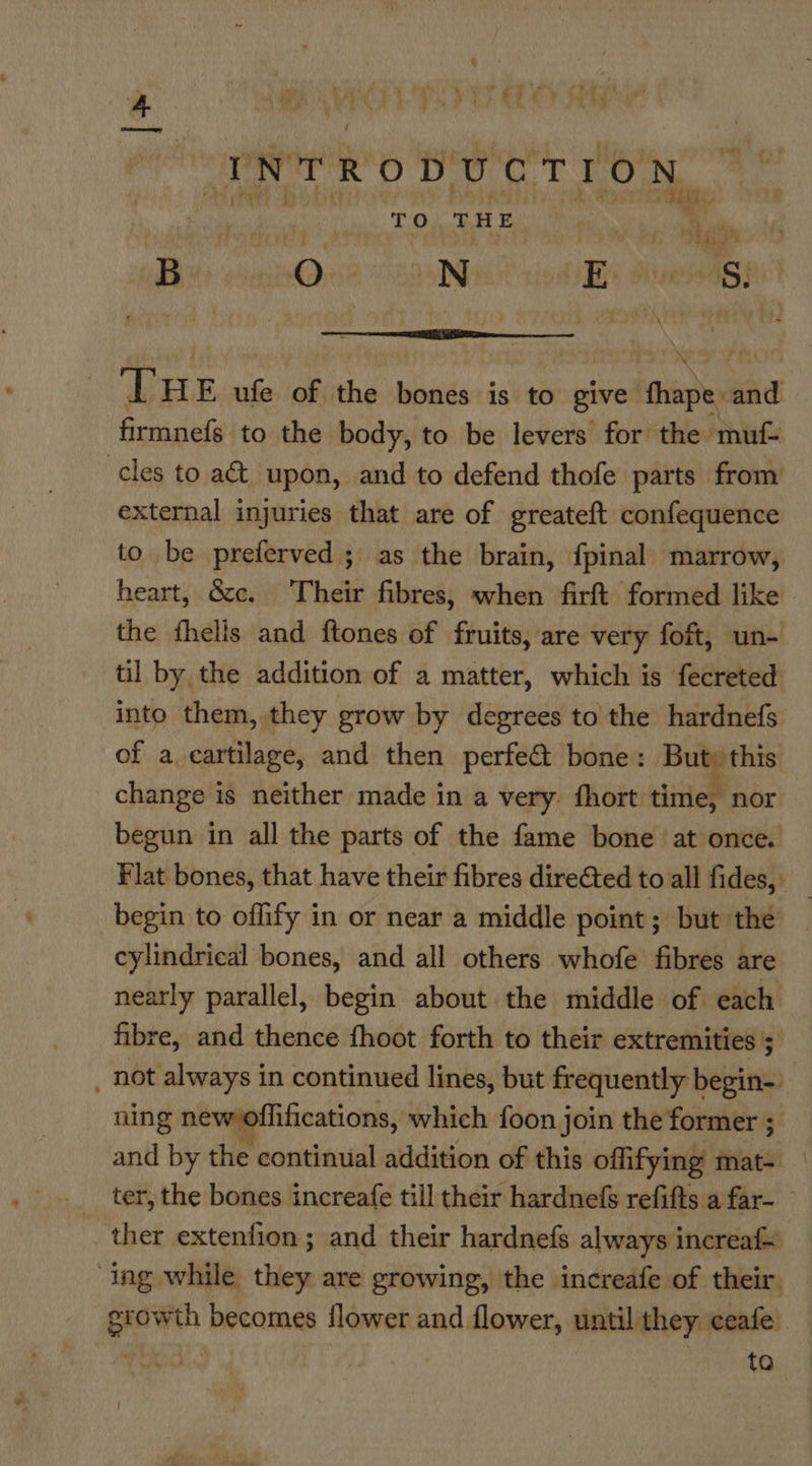 Lt £e A ete ' : . ’ INTRODUCTION. yuan TO THE. ea , B Oy? 05NF Bi divess4s) \  ‘THE ufe of the bones is to give fhape: and firmnefs to the body, to be levers for the muf- cles to a€t upon, and to defend thofe parts from external injuries that are of greateft confequence to be preferved ; as the brain, fpinal marrow, heart, Gcc. Their fibres, when firft formed like - the fhells and ftones of fruits, are very foft, un- til by the addition of a matter, which is fecreted into them, they grow by degrees to the hardnefs of a.cartilage, and then perfect bone: But) this change is neither made in a very. fhort time, nor begun in all the parts of the fame bone ‘at once. Flat bones, that have their fibres directed to all fides, begin to oflify in or near a middle point; but the cylindrical bones, and all others whofe fibres are nearly parallel, begin about the middle of each fibre, and thence fhoot forth to their extremities ; _ not always in continued lines, but frequently begin-. ning new/offifications, which foon join the former ; and by the continual addition of this offifying mat- ter, the bones increafe till their hardnefs refifts a far- ther extenfion ; and their hardnefs always increaf ing while they are growing, the increafe of their growth becomes flower and flower, until they ceafe. : to