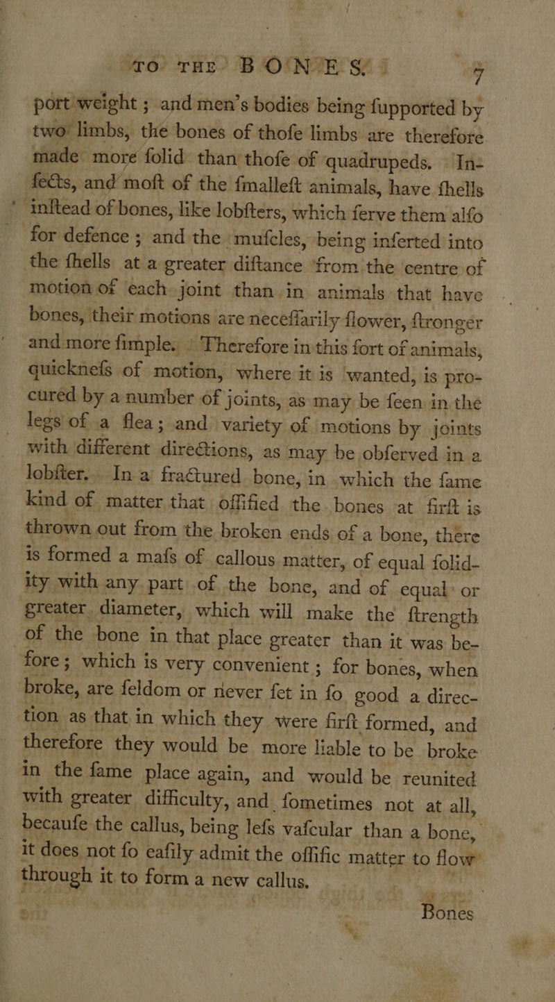 port weight ; and men’s bodies being fupported by two’ limbs, the bones of thofe limbs are therefore made more folid. than’ thofe of quadrupeds. In- fects, and moft of the fmalleft animals, have thells inftead of bones, like lobfters, which ferve them alfo for defence ; and the ‘mufcles, being inferted into the fhells at a greater diftance ‘from the centre of motion of each joint than. in animals that have bones, ‘their motions axe necefiarily flower, ftronger and more fimple. | Therefore in this fort of animals, quicknefs of motion, where it is wanted, is pro- cured by a number of joints, as may be feen in the legs of a flea ; and variety of ‘motions by joints with different direGions, as may be obferved in a lobfter... In a fragtured bone, in which the fame kind of matter that, offified the bones at fir is thrown out from the broken ends of a bone, there is formed a mafs of callous matter, of equal folid- ity with any part of the bone, and of equal: or greater diameter, which will make the {trength of the bone in that place greater than it was be- fore ; which is very convenient ; for bones, when broke, are feldom or riever fet in fo good a direc- tion as that in which they were firft formed, and therefore they would be more liable to be broke in the fame place again, and would be. reunited with greater difficulty, and fometimes not at all, becaufe the callus, being lefs vafcular than a bone, it does not fo eafily admit the offific matter to flow’ through it to form a new callus. eri? 3 Bones