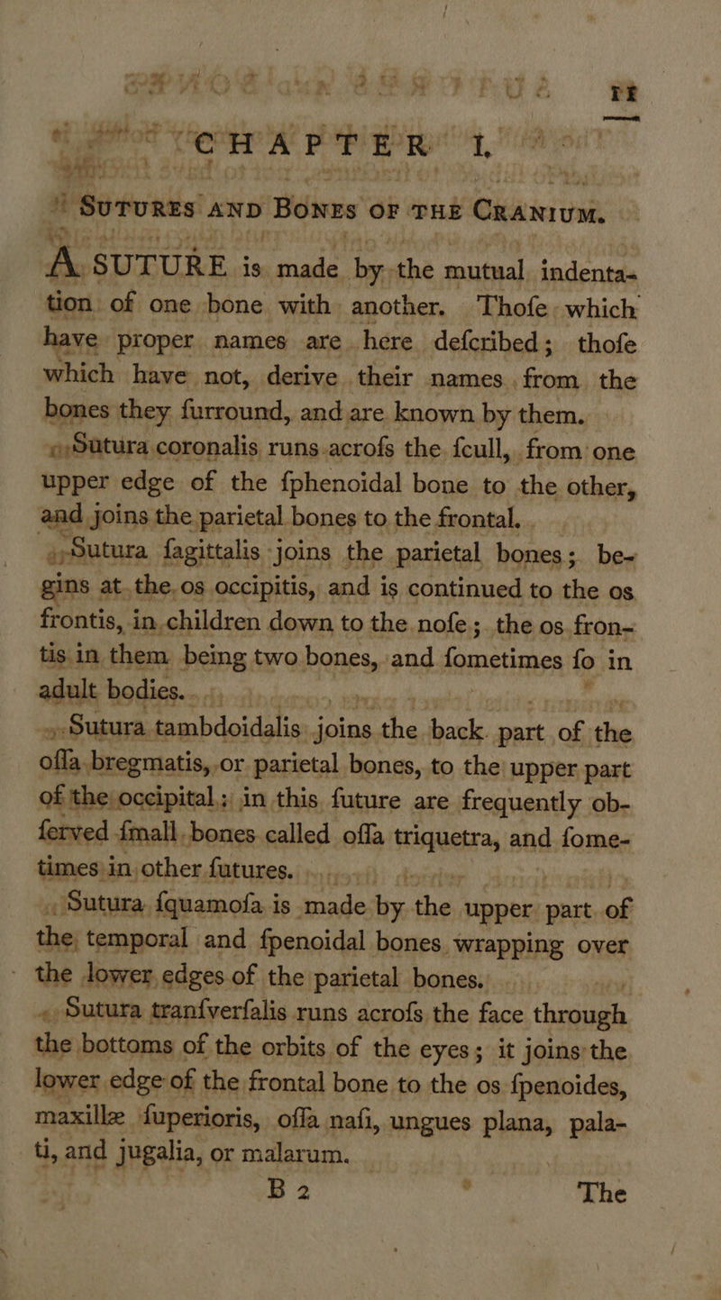 MLA yo be! PR Se OR OD. OF Y ae ? w, 7 Maa 2s - Vm yi 0 au ; Mess Se H ai E R oe wv Surunes. ane Bones OF THE Cuantuni A SUTURE 18: fade ia the mutual indenta- tion of one bone with another. Thofe. which have proper names are here defcribed; thofe which have not, derive their names. from the bones they furround, and are. known by them. »Sutura coronalis runs.acrofs the. fcull,. from’ one upper edge of the fphenoidal bone to the other, and joins the parietal. bones to the frontal. . a Sutura fagittalis. joins the parietal bones; be- ins at. the, os occipitis, and i is continued to the os frontis, in children down to the. nofe; the os fron- tis in them being aR E928 fometimes fo in adult bodies. 06). pois al aa _,Sutura RCE up Ae ie pasa as the ofla bregmatis, or parietal bones, to the’ upper part of the occipital.; in this future are frequently ob- ferved fmall, bones called offa ia aad fome- times in. other futures. . Hoth Sutura. fquamofa is made ae on upper part. of shies temporal and fpenoidal bones. wrapping over the lower, edges of the parietal bones. at , Sutura tranfverfalis runs acrofs the face through the bottoms of the orbits of the eyes; it joins’the lower edge: of the frontal bone to the os {penoides, maxille fuperioris, offa nafi, ungues plana, pala- ti, and jugalia, or malarum. _ |