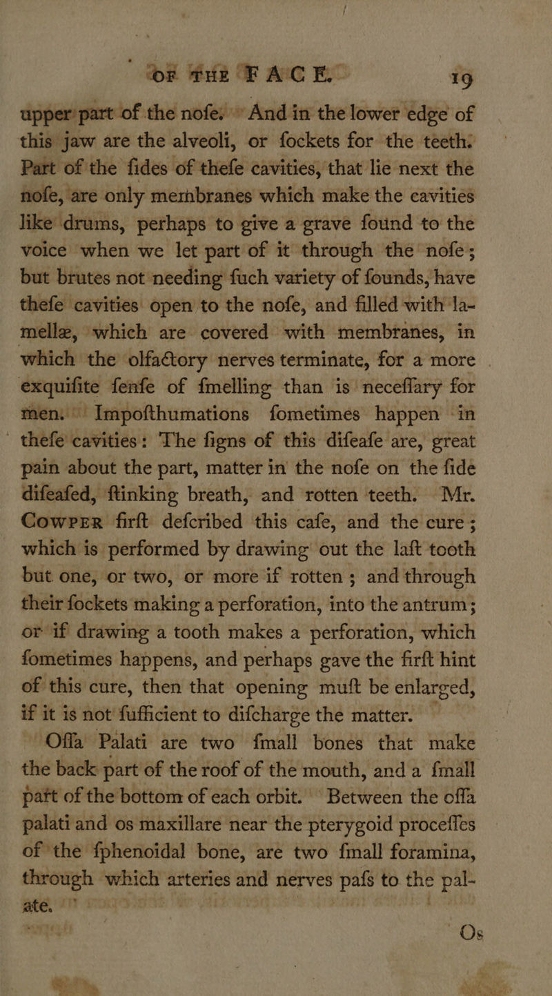 upper’ part of the nofe. » And in the lower edge of this jaw are the alveoli, or fockets for the teeth: Part of the fides of thefe cavities, that lie next the nofe, are only merhbranes which make the cavities like’ drums, perhaps to give a grave found to the voice when we let part of it through the nofe; but brutes not needing fuch variety of founds, have thefe cavities open to the nofe, and filled with la- mellz, which are covered with membranes, in which the olfactory nerves terminate, for a more | exquifite fenfe of fmelling than is’ neceflary for men. Impofthumations fometimes happen in - thefe cavities: The figns of this difeafe are, great pain about the part, matter in the nofe on the fide difeafed, ftinking breath, and rotten teeth. Mr. Cowrer firft defcribed this cafe, and the cure ; which is performed by drawing out the laft tooth but. one, or two, or more if rotten; and through their fockets making a perforation, into the antrum; or if drawing a tooth makes a perforation, which fometimes happens, and perhaps gave the firft hint of this cure, then that opening muft be enlarged, if it is not! fufficient to difcharge the matter. Offa Palati are two fmall bones that make the back part of the roof of the mouth, and a {mall patt of the bottom of each orbit. “Between the offa palati and os maxillare near the pterygoid procefles of the fphenoidal bone, are two fmall foramina, through which arteries and nerves pafs to the pal- ate, he BS te 95 . io Pare any! Os