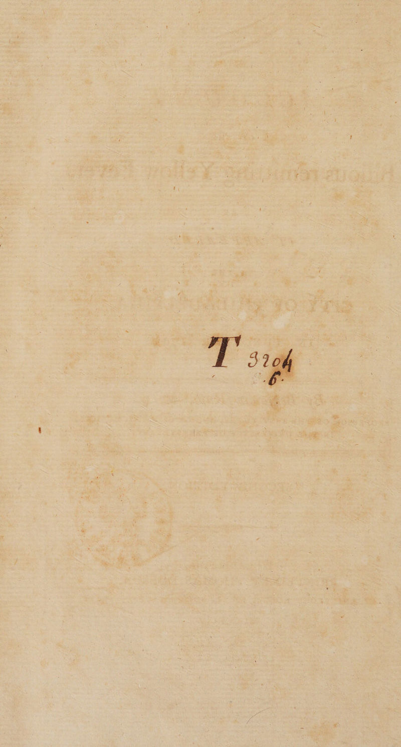 T' 3204