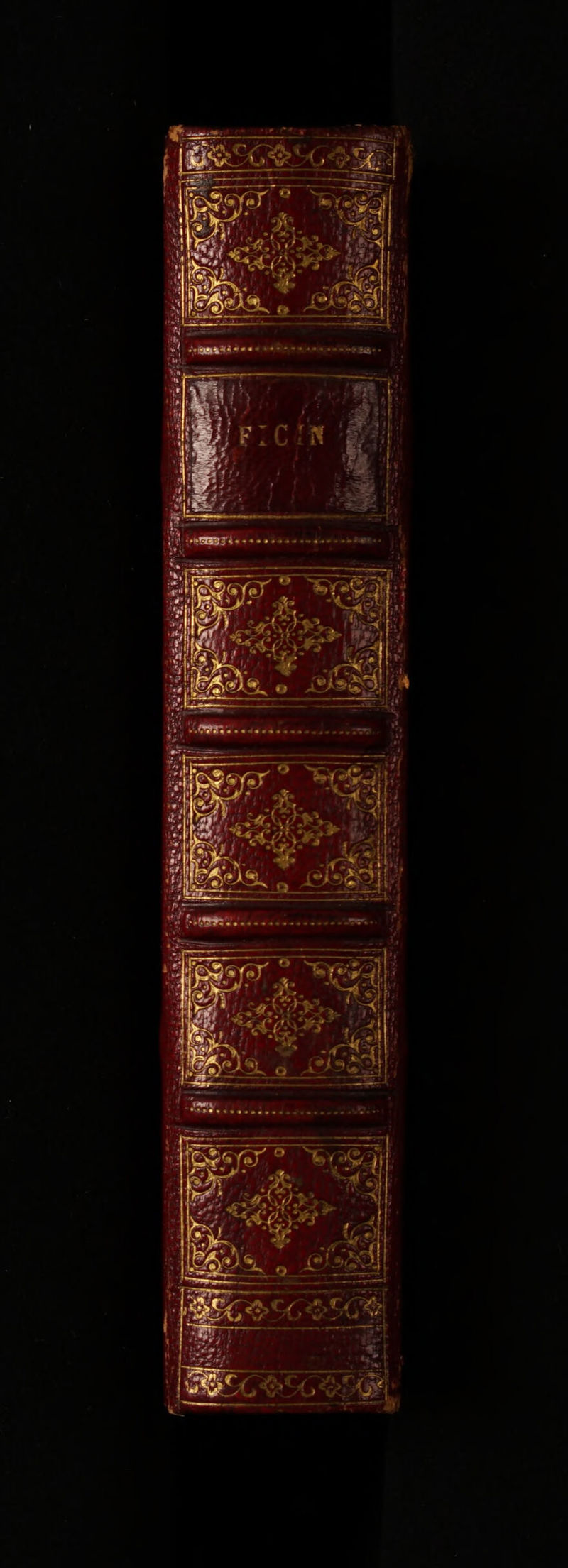 No text description is available for this image