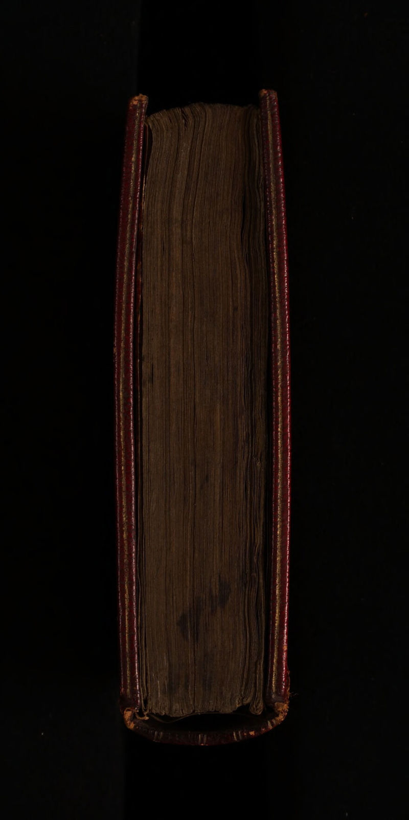 No text description is available for this image