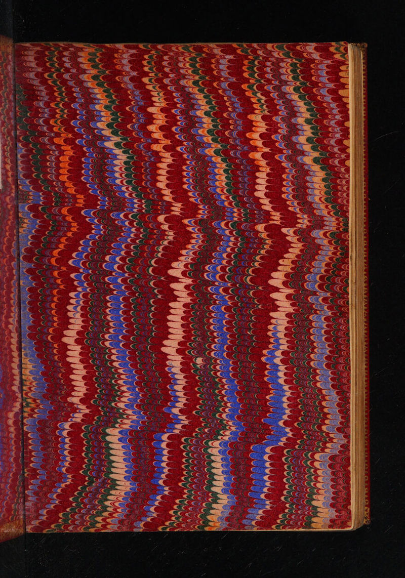 No text description is available for this image