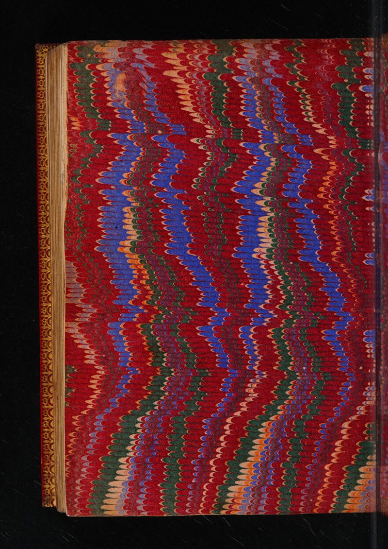 No text description is available for this image