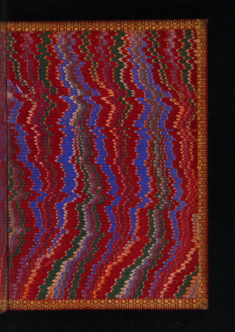 No text description is available for this image