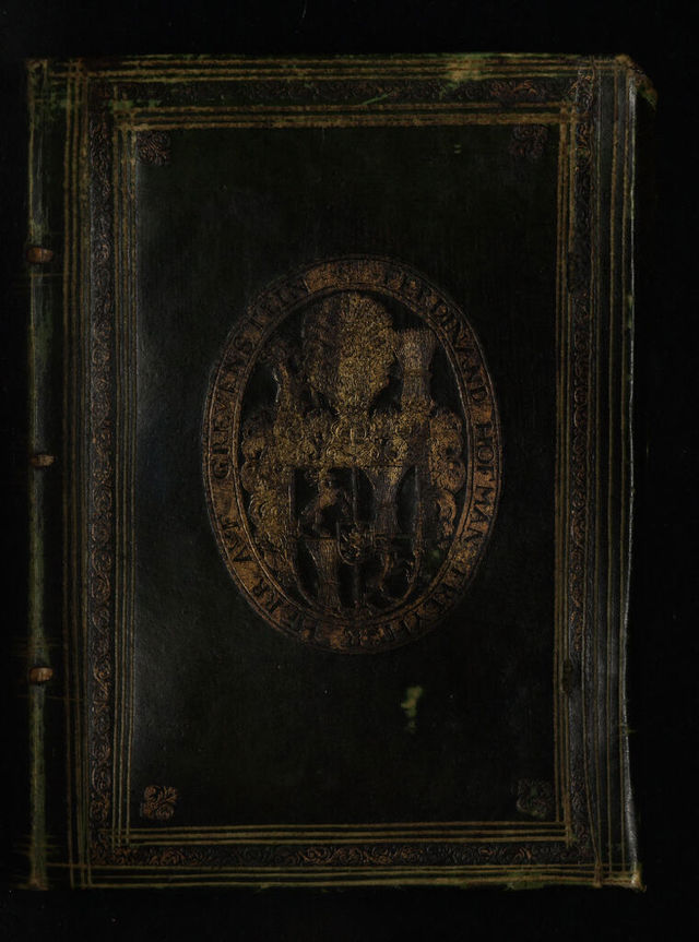 No text description is available for this image