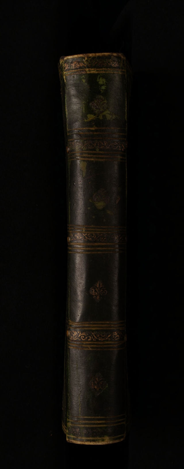 No text description is available for this image