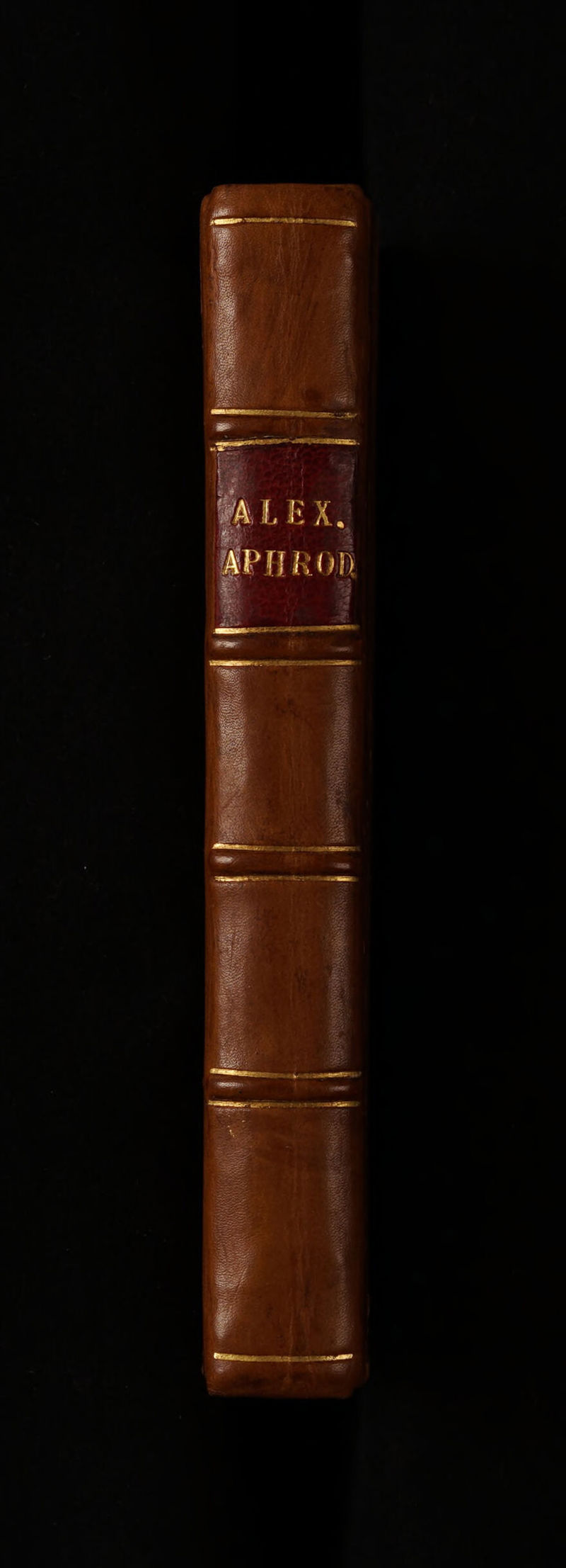 No text description is available for this image