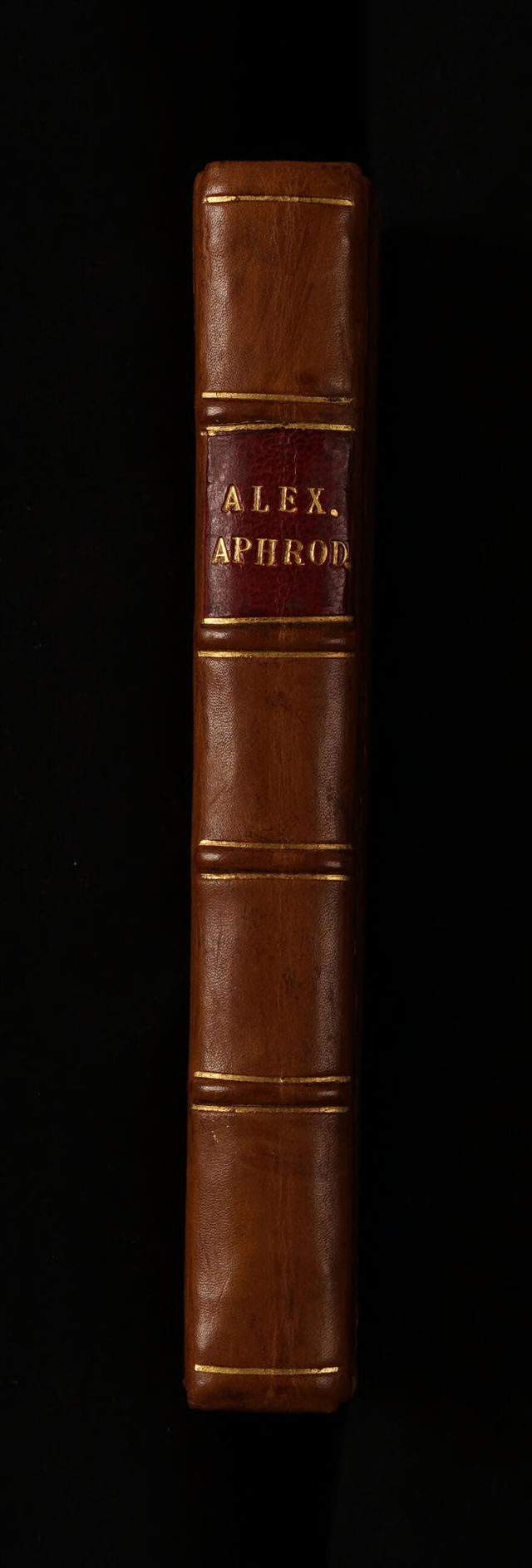 digitised image 2
