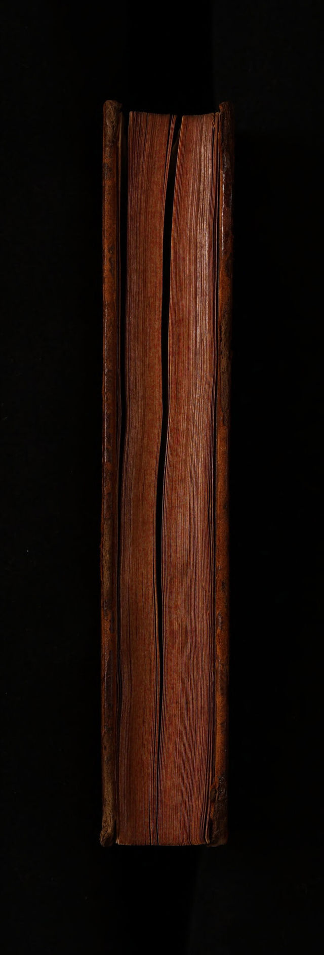 digitised image 3