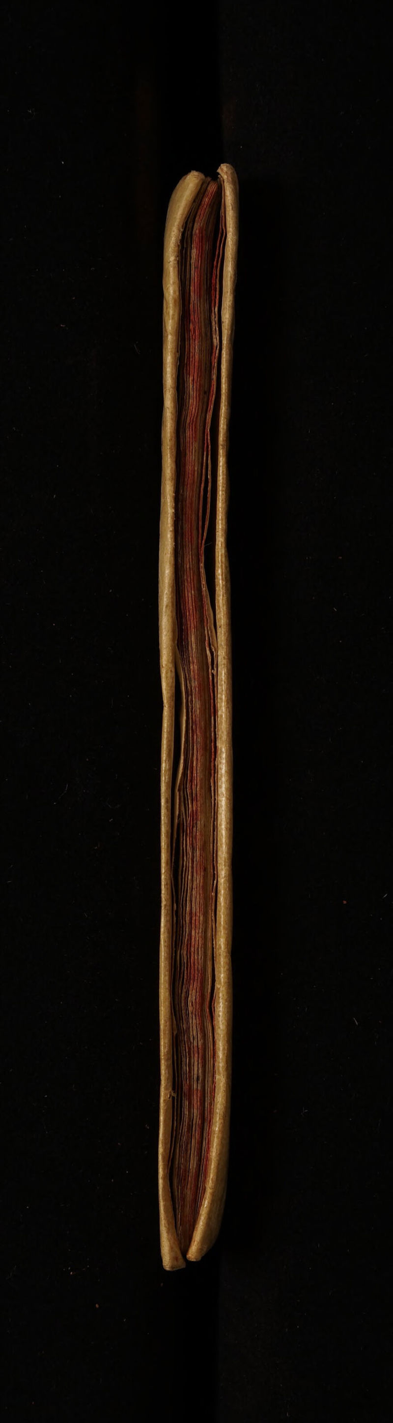 No text description is available for this image