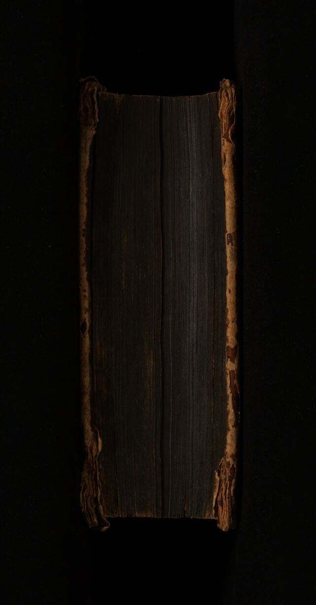 digitised image 3