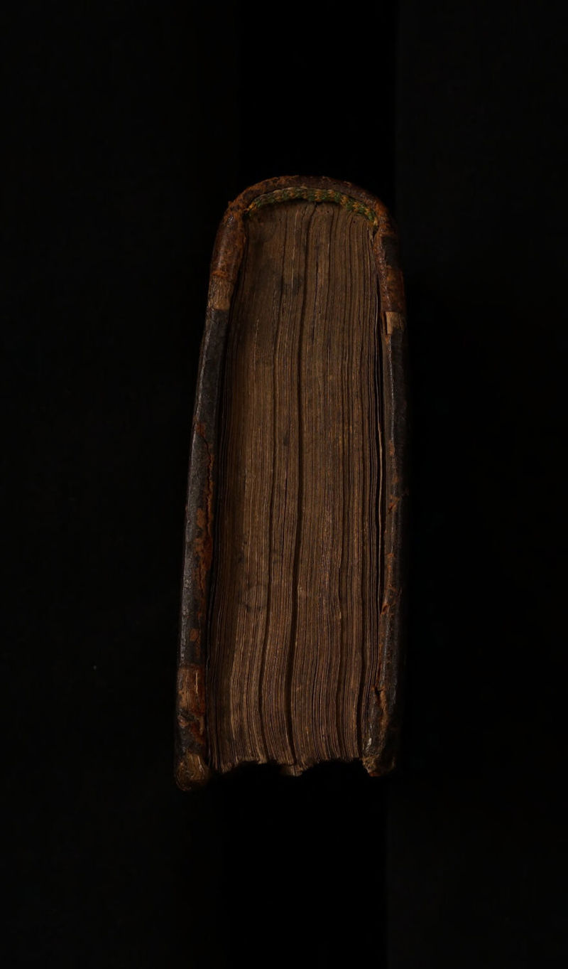 No text description is available for this image