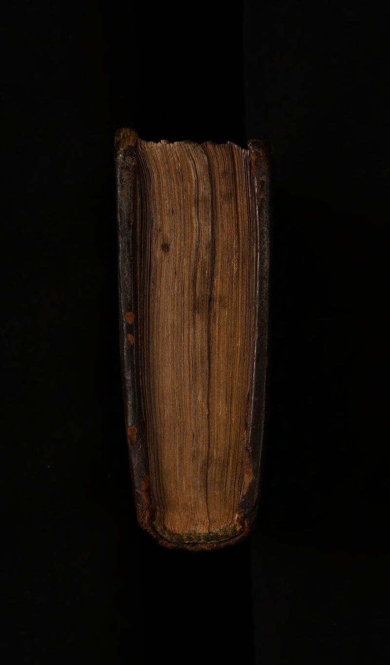 No text description is available for this image