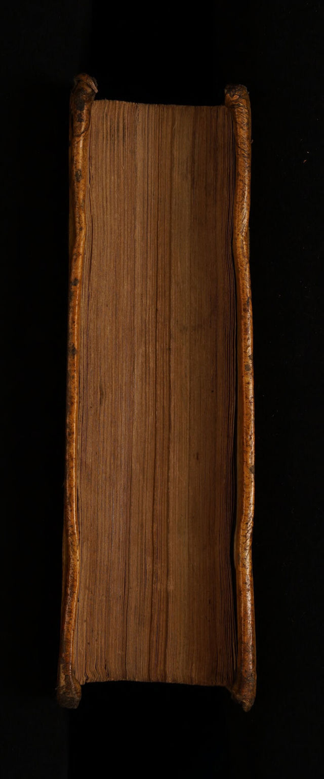 No text description is available for this image